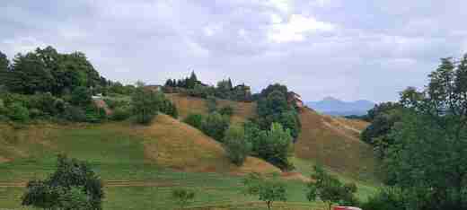 20220819_102140.jpg
