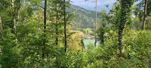 20220820_131957.jpg
