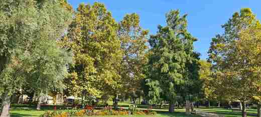 20230929_110557.jpg