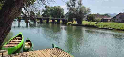 20250606_105824.jpg
