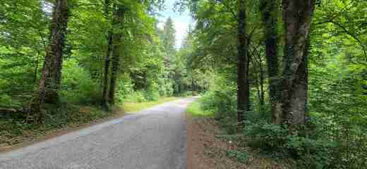 20250609_121600.jpg