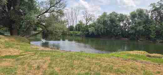20250609_130521.jpg