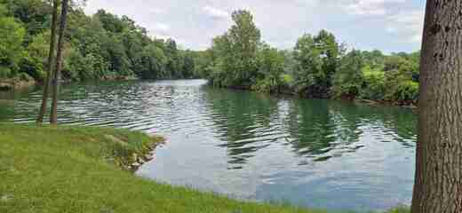 20250609_133348.jpg