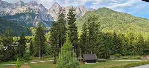 20250709_065459.jpg
