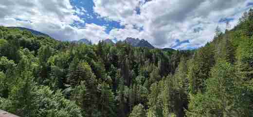 20250709_112229.jpg