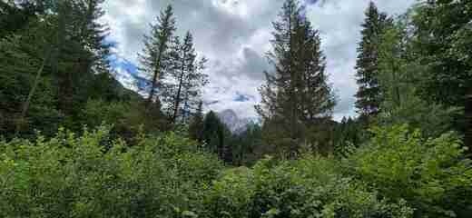 20250709_114311.jpg