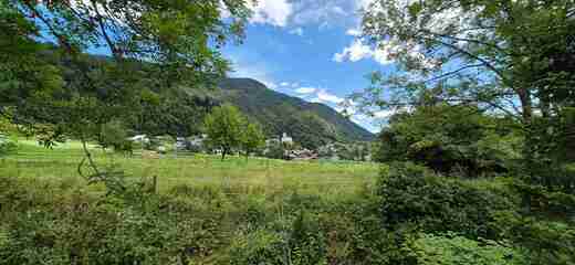 20250710_113149.jpg