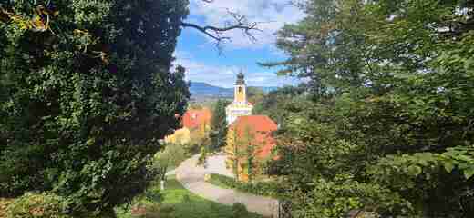 20250903_112931.jpg