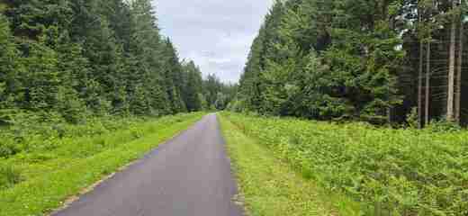 20260616_104149.jpg