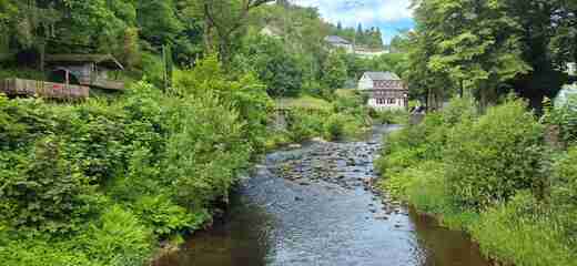 20260617_105047.jpg
