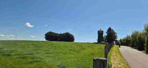 20260618_114430.jpg