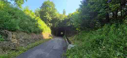 20260619_111616.jpg