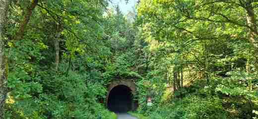 20260620_101654.jpg