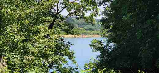 20260620_125416.jpg