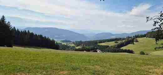 20260905_112406.jpg