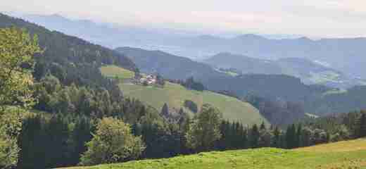 20260905_113028.jpg