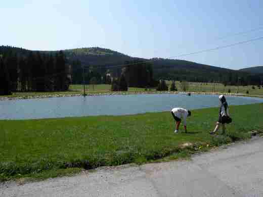 DSCN0697.JPG