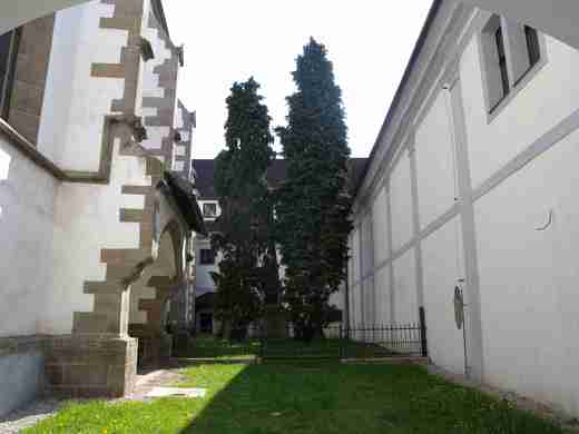 DSCN0715.JPG