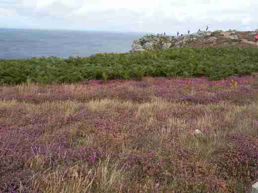 06 Pointe du Van