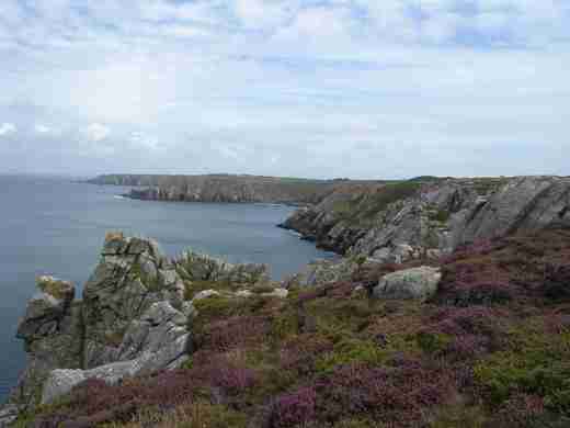 DSCN0926.jpg