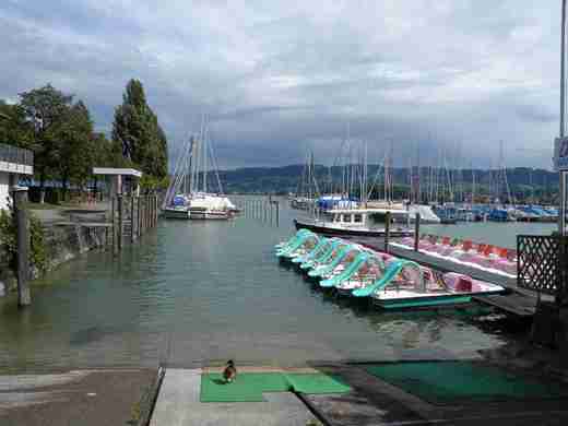 04 Arbon
