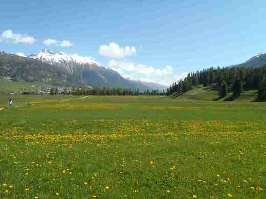 13 Engadin
