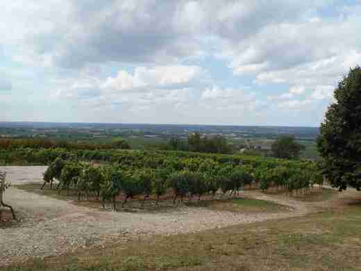 14 Krajina pod Montbazillac