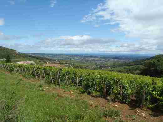 07 Rovina kolem Saony