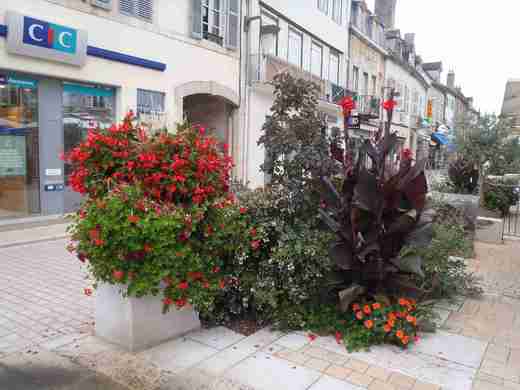 08  Nuits-St-Georges