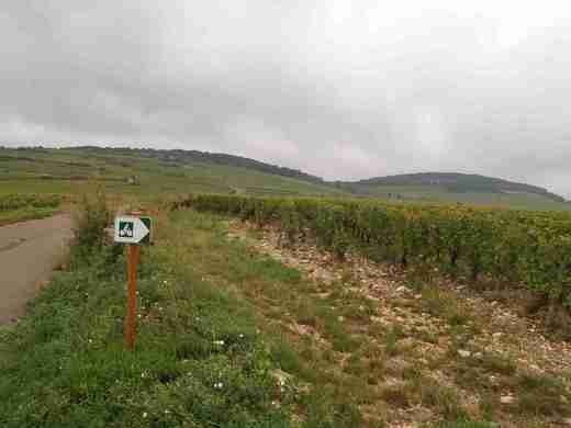 02  Cyklostezka z Beaune do Santenay