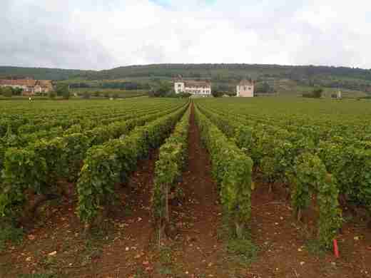 07  Cyklostezka z Beaune do Santenay