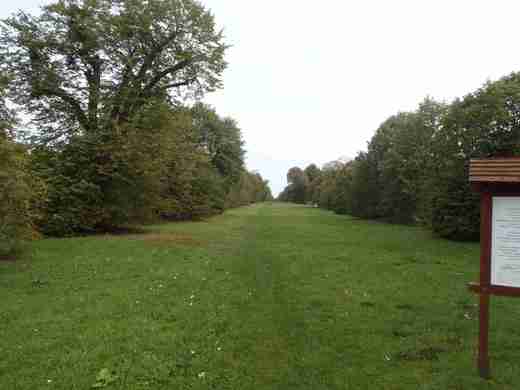 19 Alej dlouhá 2,5 km