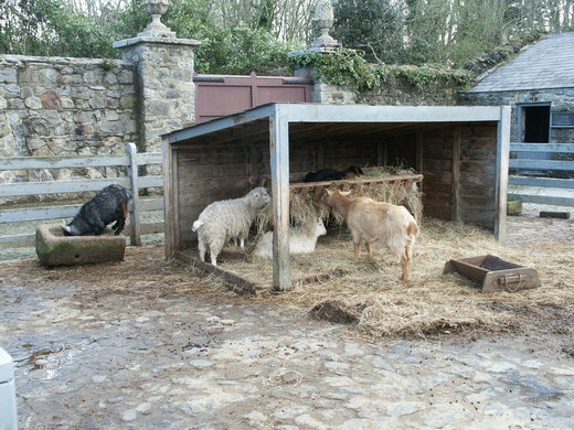 15 Newbridge Demesne Traditional Farm