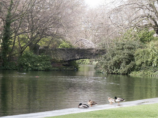 52 St. Stephen's Green