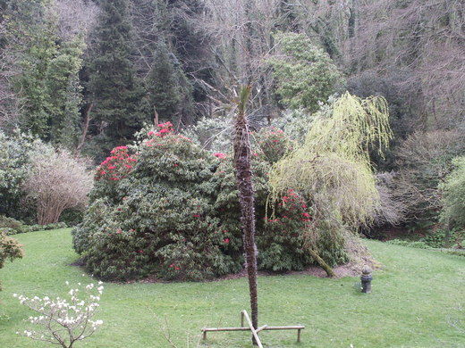 83 Powerscourt House