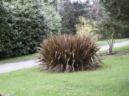 87  Powerscourt Gardens