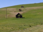 1. den